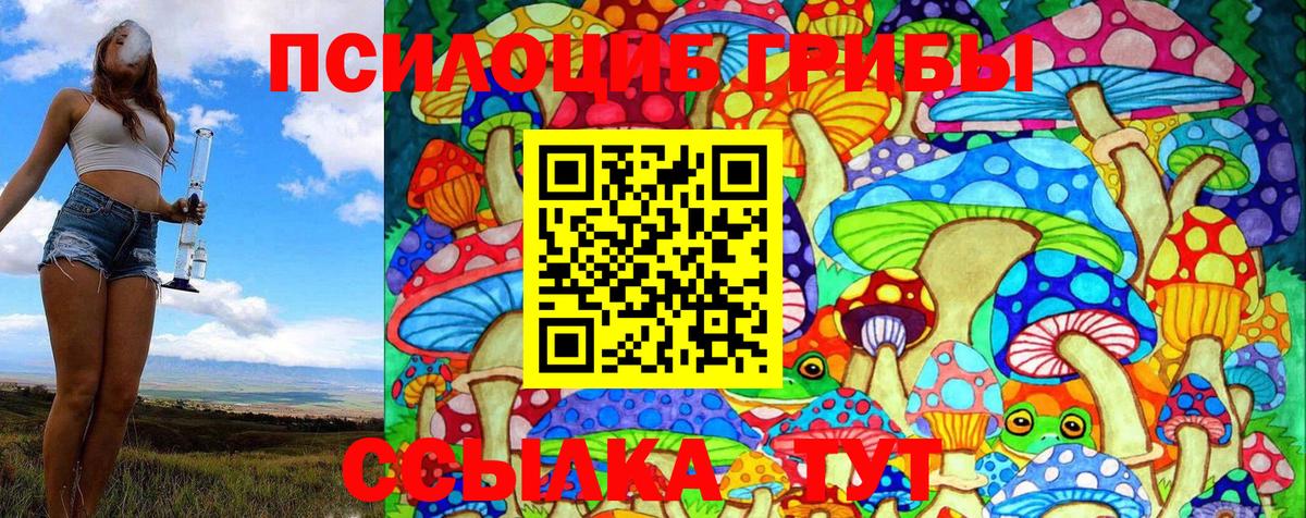 Галлюциногенные грибы Psilocybine cubensis Астрахань