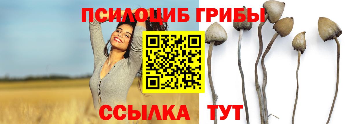 Галлюциногенные грибы MAGIC MUSHROOMS  Псилоцибиновые грибы Psilocybine cubensis  Вход с VPN  Астрахань 